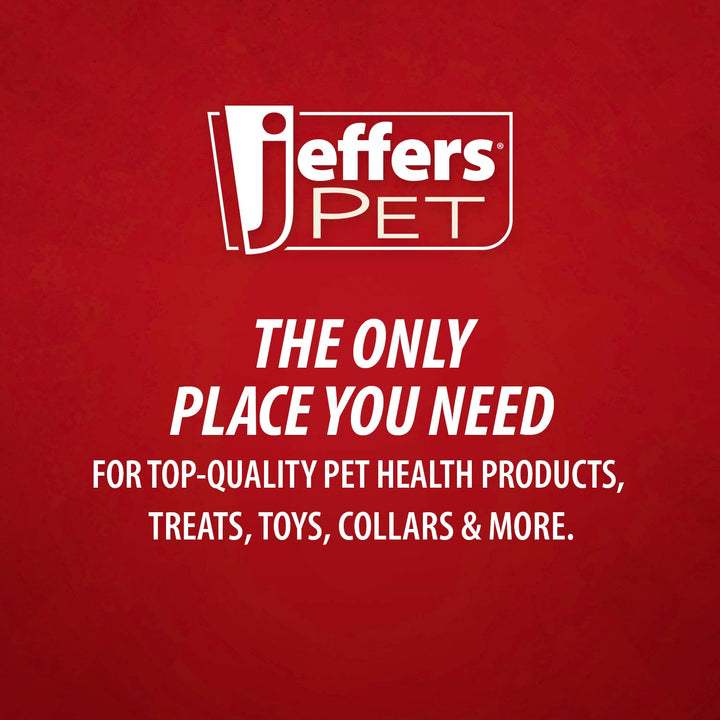 Jeffers Red Seahorse Natural Rubber Dog Chew Toy