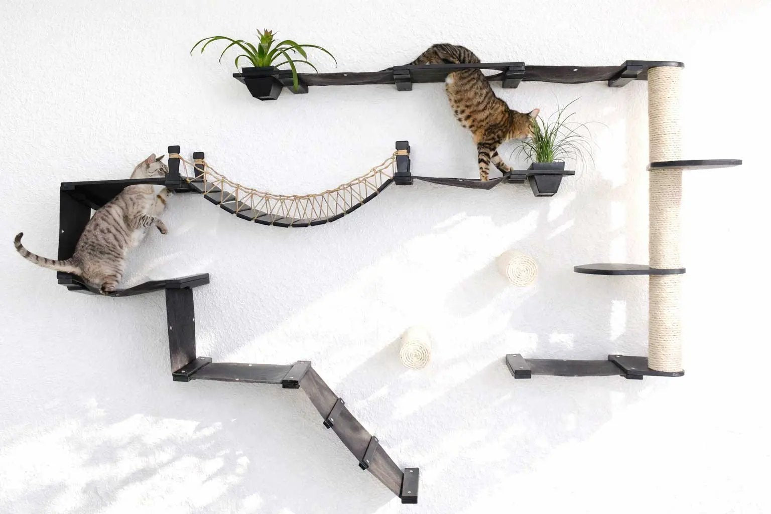 The Juggernaut wall-mounted cat condo by Catastrophic Creations; dark wood platforms, rope bridge, and 3 cats.