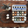 Charger l'image dans la visionneuse de la galerie, Henlay Jumbo Egg Cartons for 12 Farm Fresh Eggs – Durable & Reusable Egg Carton, 20 or 75 Pack
