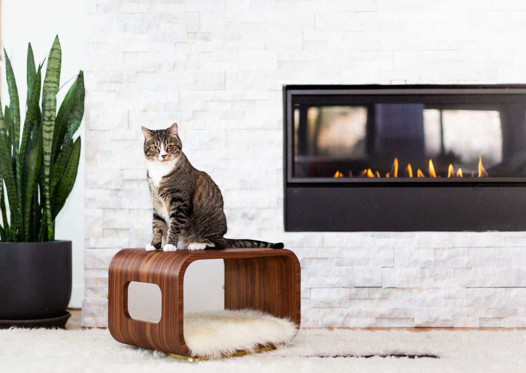 LUNA Modern Cat Bed &amp; Side Table, Walnut