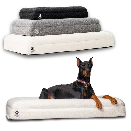 Luxury Orthopedic Dog Bed by Wasatch Pup