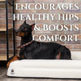 Bild in Galerie-Betrachter laden, Luxury Orthopedic Dog Bed by Wasatch Pup

