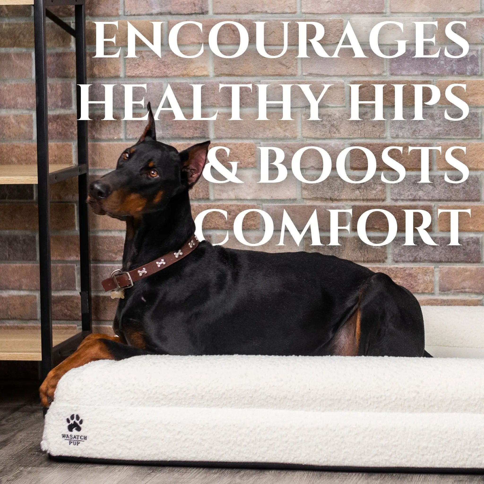 Luxury Orthopedic Dog Bed by Wasatch Pup