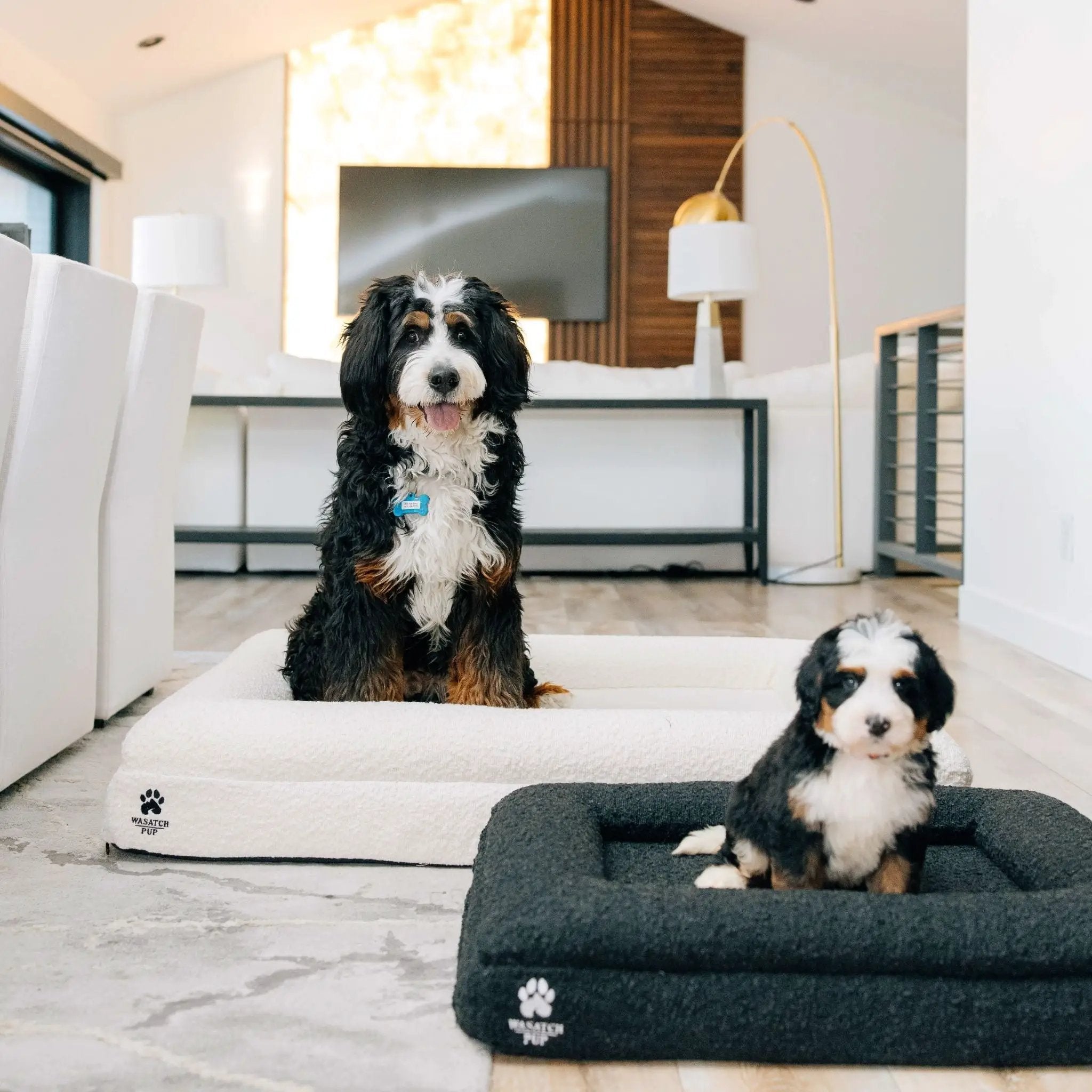 Luxury Orthopedic Dog Bed by Wasatch Pup
