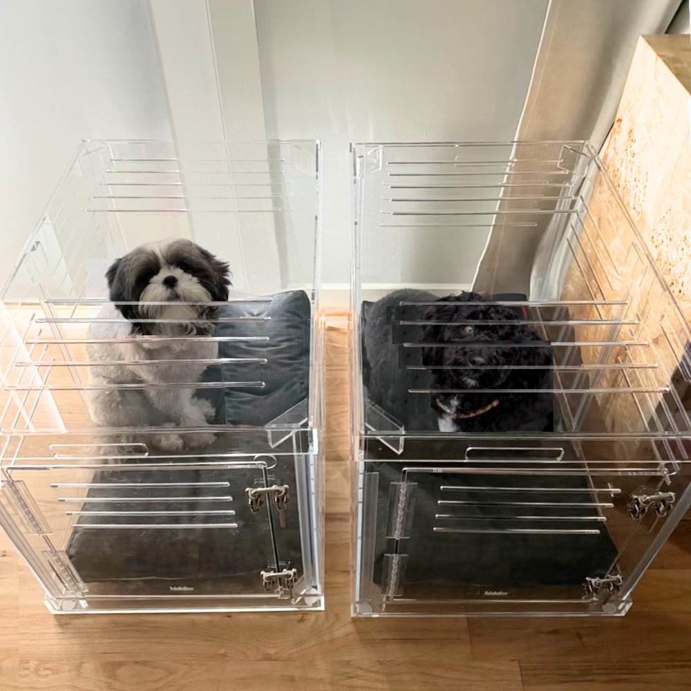 Hiddin Clear Acrylic Dog Crate – Large, Silver Latch