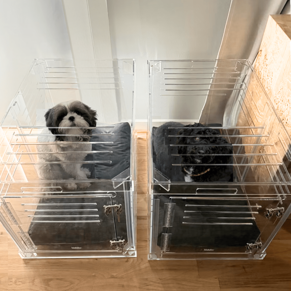 Hiddin Clear Acrylic Dog Crate – Medium, Silver Latch