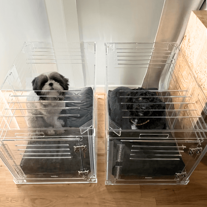 Hiddin Clear Acrylic Dog Crate – Medium, Silver Latch