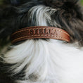 Load image into Gallery viewer, Designer Premium American Leather Dog Collar Full Grain Handcrafted by Lifetime Leather Co
