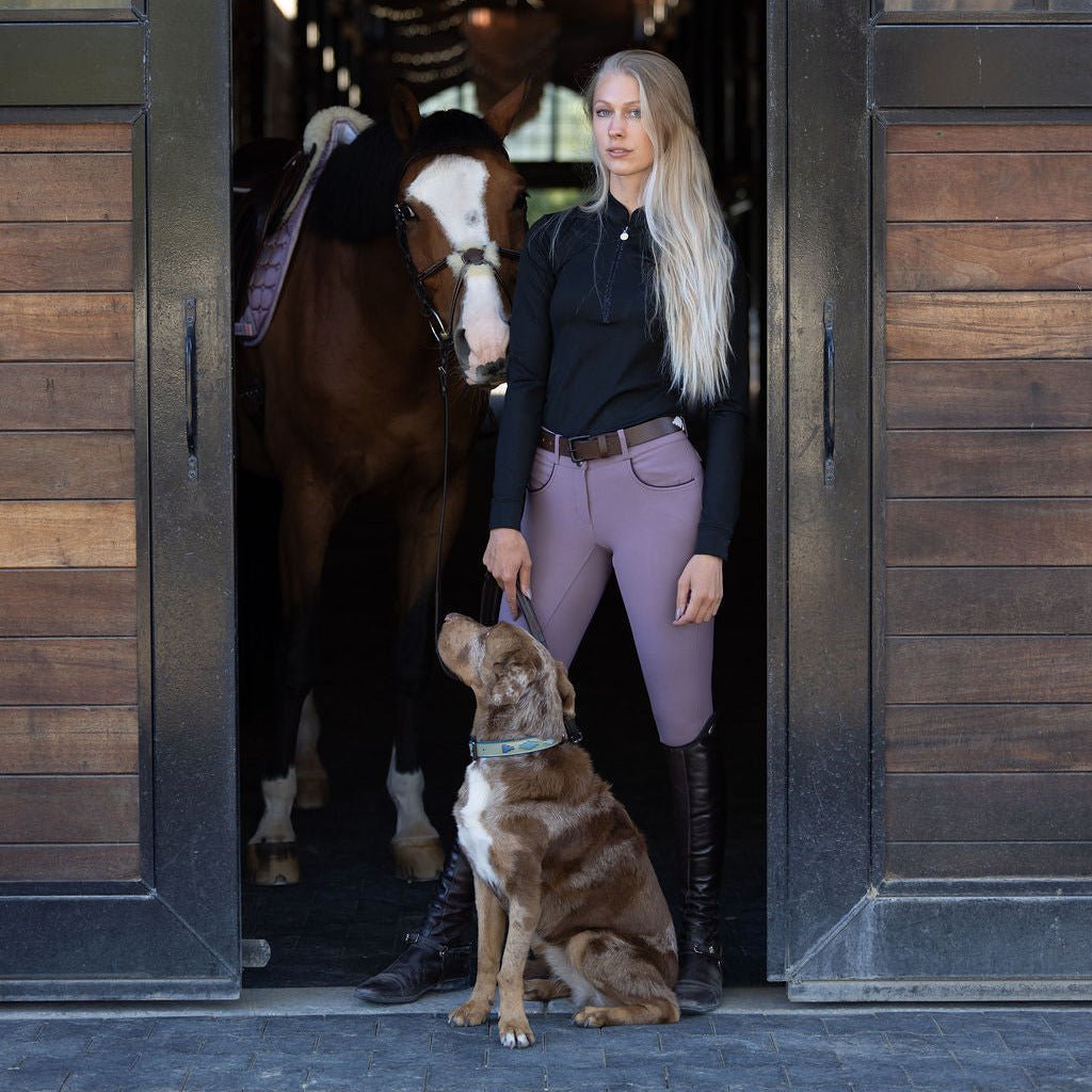 Halter Ego Azura Leather Dog Collar on a dog