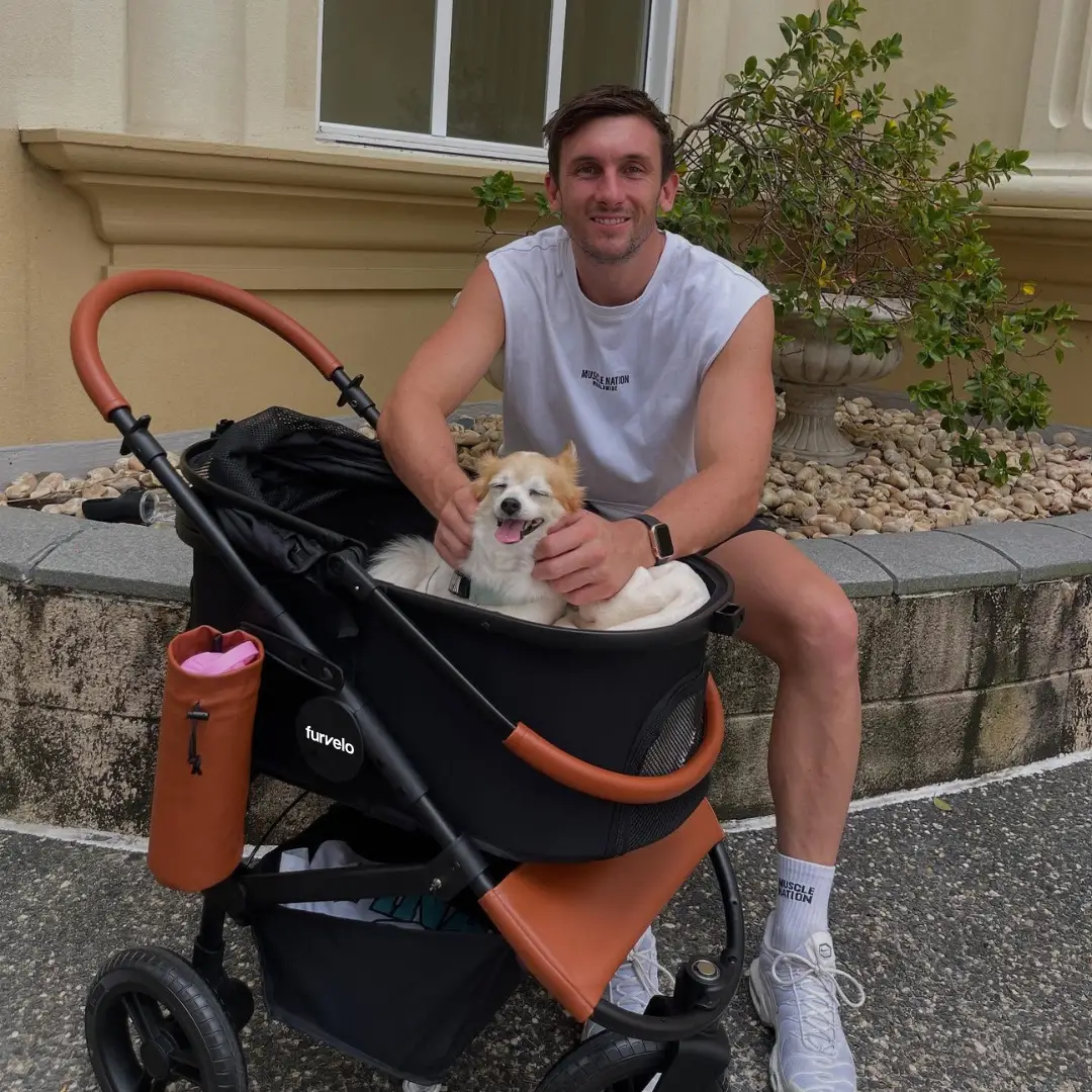 Furvelo Jogger Pet Stroller: black with brown leather accents, roomy basket, and a smiling dog inside.