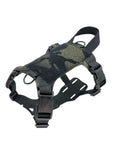 Carica l'immagine nel visualizzatore della galleria, K9R M1 Lightspeed Cat Harness With Minimalist Chest Plate Made USA by kiloninerpets
