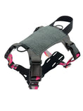 Carica l'immagine nel visualizzatore della galleria, K9R M1 Lightspeed Cat Harness With Minimalist Chest Plate Made USA by kiloninerpets
