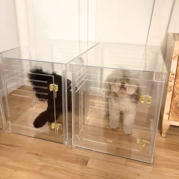 Hiddin Clear Acrylic Dog Crate – Medium, Gold Latch