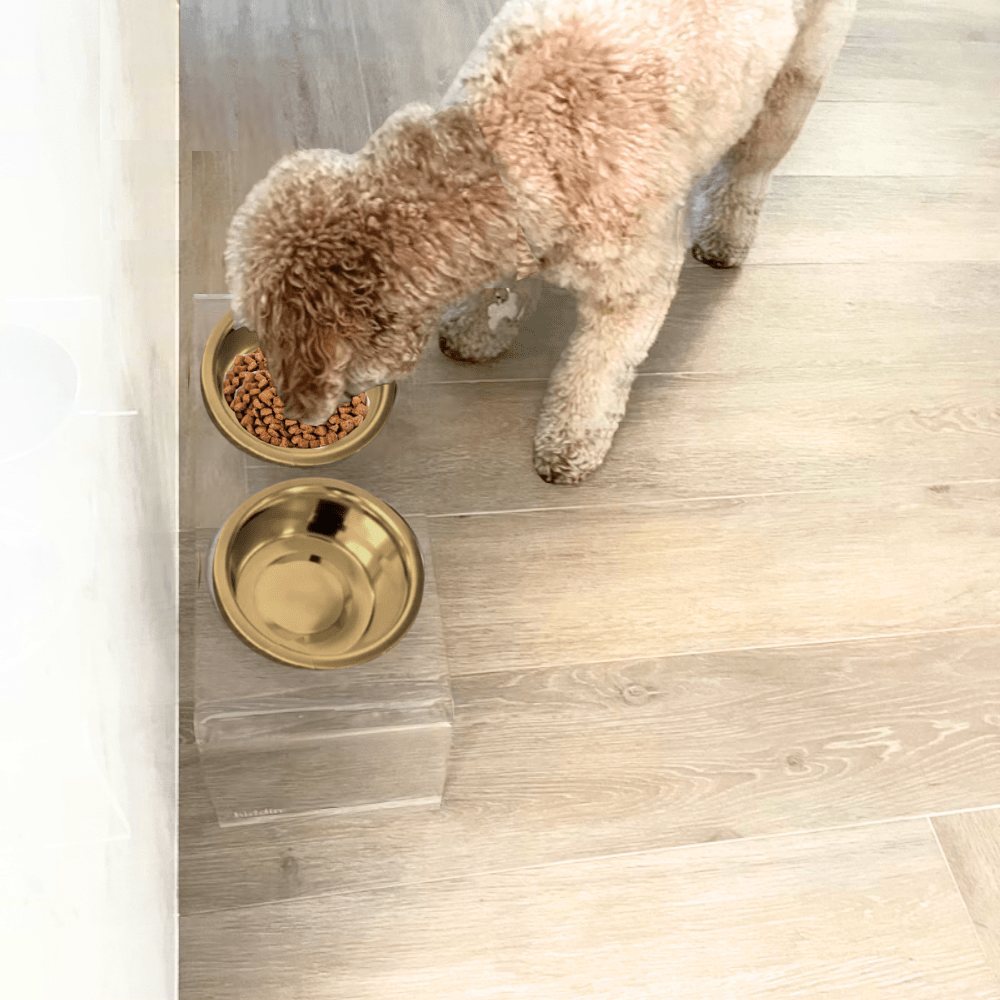 Hiddin Clear Acrylic Double Feeder with Gold Bowls – 7 in High