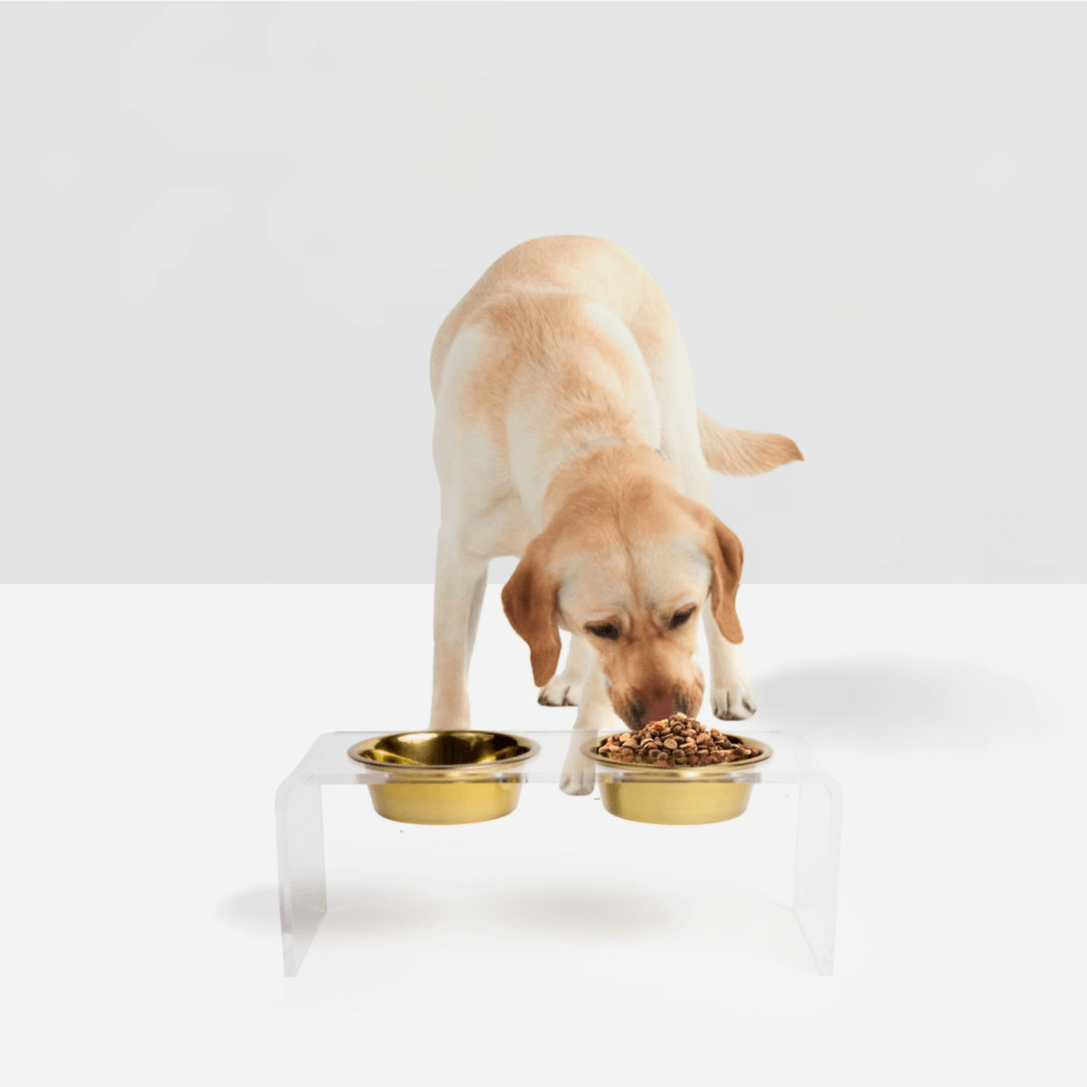 Hiddin Clear Acrylic Double Feeder with Gold Bowls – 7 in High