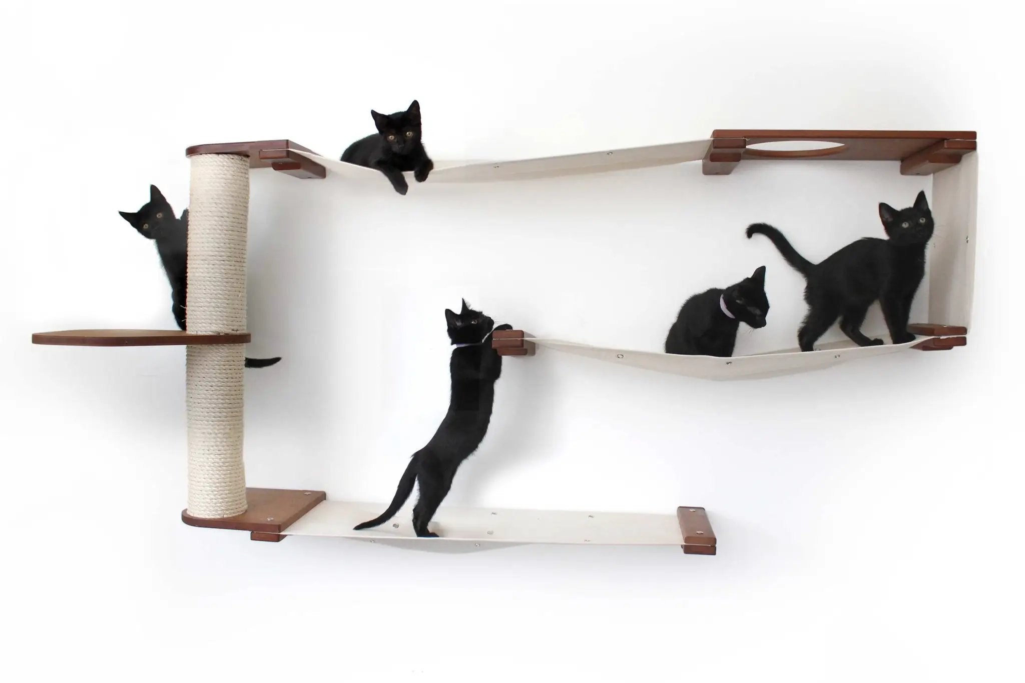 Cat Maze Wall - 3 Tier Cat Tree, beige platforms and sisal post, Catastrophic Creations; five black kittens