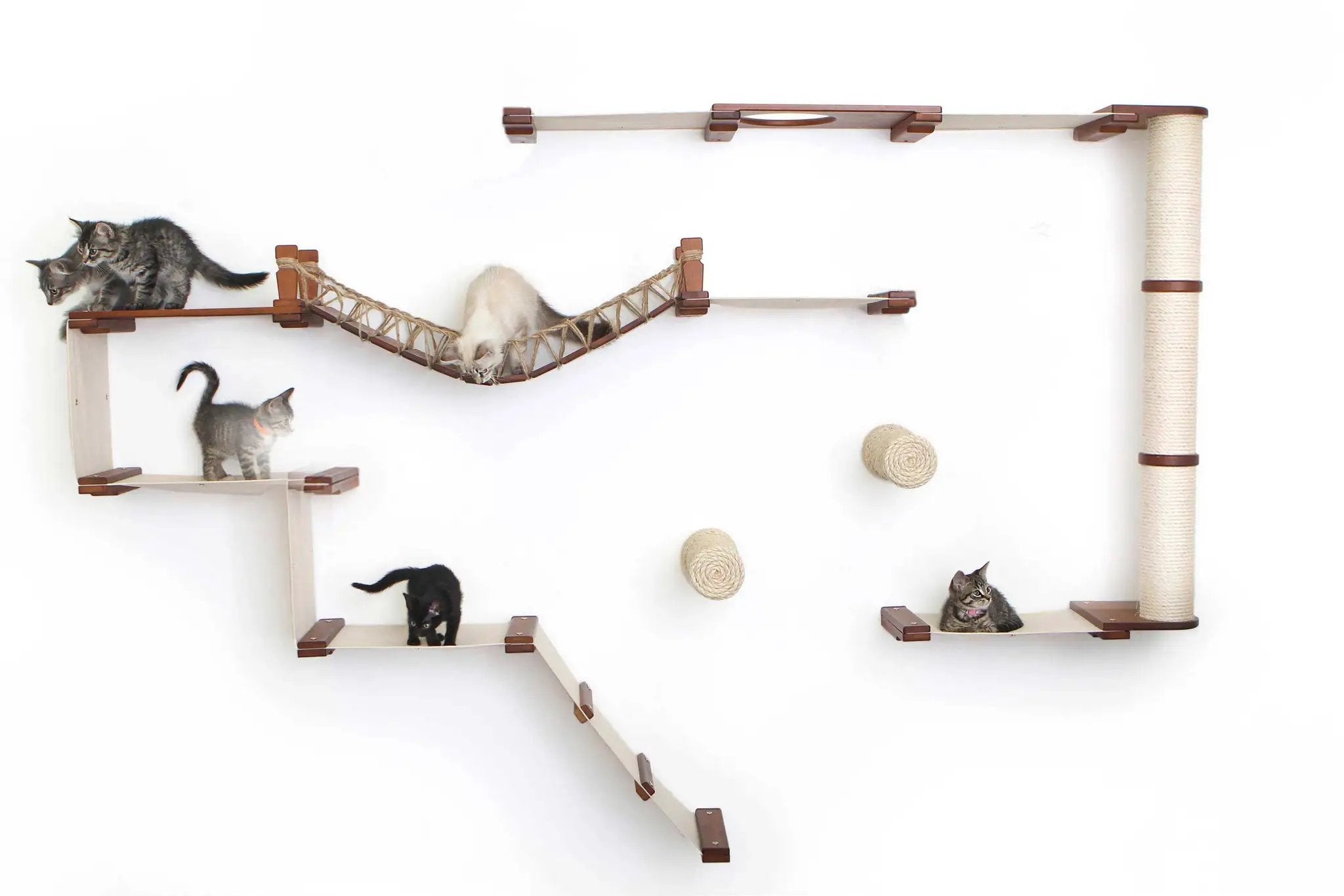 The Juggernaut indoor cat condo on a wall-mounted cat tree with rope bridge, beige wood, and sisal posts; several cats.