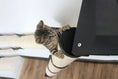 Load image into Gallery viewer, Cat wall scratcher condo by Catastrophic Creations, The Crossroads Cat Tree with Ramp, black finish.
