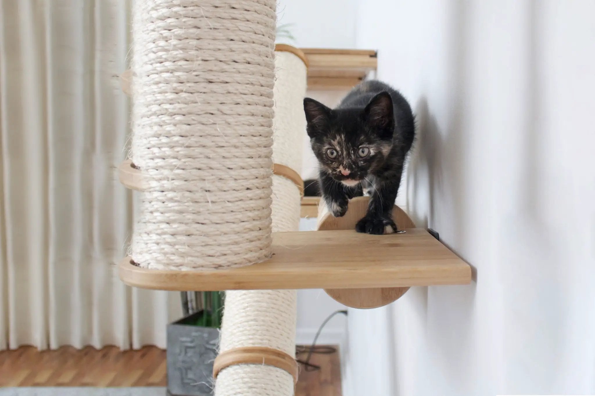 The Crossroads Cat Wall Scratcher - Tree with Ramp, a wooden cat condo wrapped in natural sisal rope.