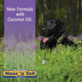 Gallery viewerに画像を読み込む, Mane 'n Tail Ultimate Gloss Horse Conditioner 32oz Gentle Formula by Paw and Tail Supply
