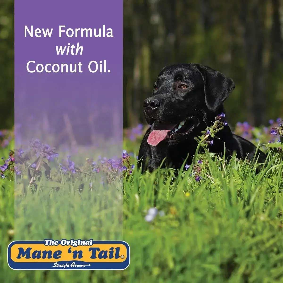 Mane 'n Tail Ultimate Gloss Horse Conditioner 32oz Gentle Formula by Paw and Tail Supply