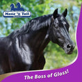 Gallery viewerに画像を読み込む, Mane 'n Tail Ultimate Gloss Horse Conditioner 32oz Gentle Formula by Paw and Tail Supply
