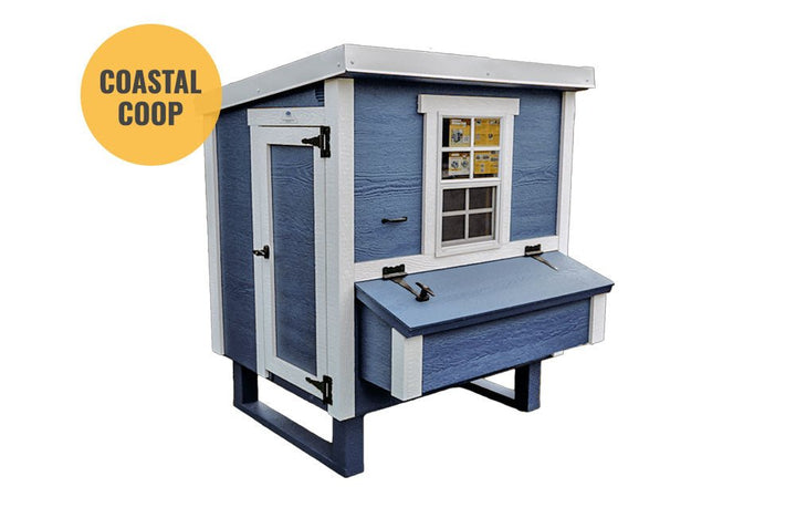 Medium Chicken Coop - Up to 10 Chickens