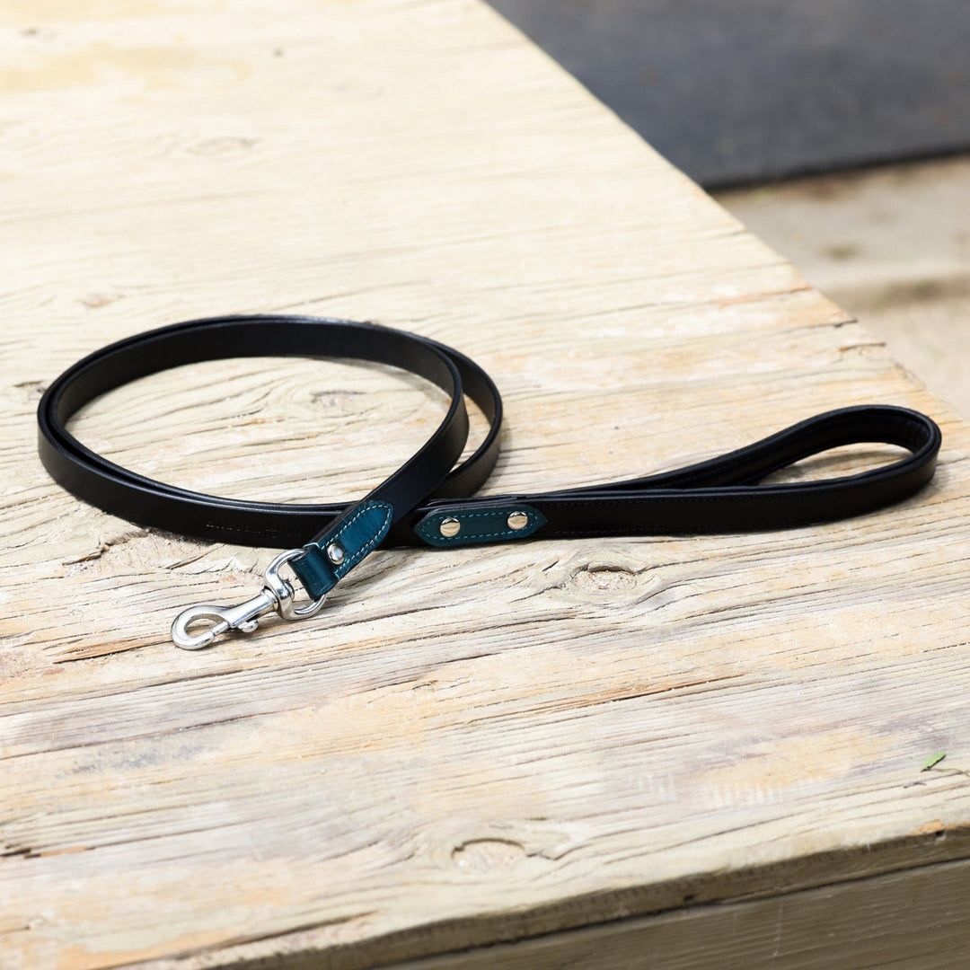 Halter Ego Metallic Teal Leather Dog Leash