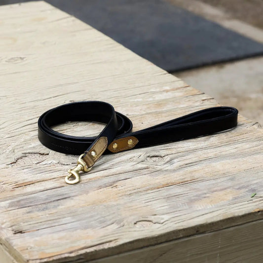 Halter Ego Milan Dog Leash Black Vegetable Tanned Leather Bronze by Halter Ego®