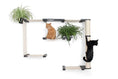 Bild in Galerie-Betrachter laden, The Gardens Modern Cat Tree with Plants by Catastrophic Creations; wood cat condo with plants and two cats
