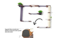Bild in Galerie-Betrachter laden, Cat Condo The Gardens by Catastrophic Creations; purple wood frame with plant accents and a tall sisal scratching pole.
