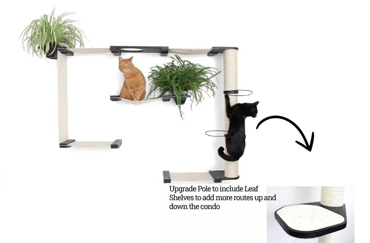 The Gardens Cat Condo by Catastrophic Creations; natural wood cat tree with green plants and two cats climbing.