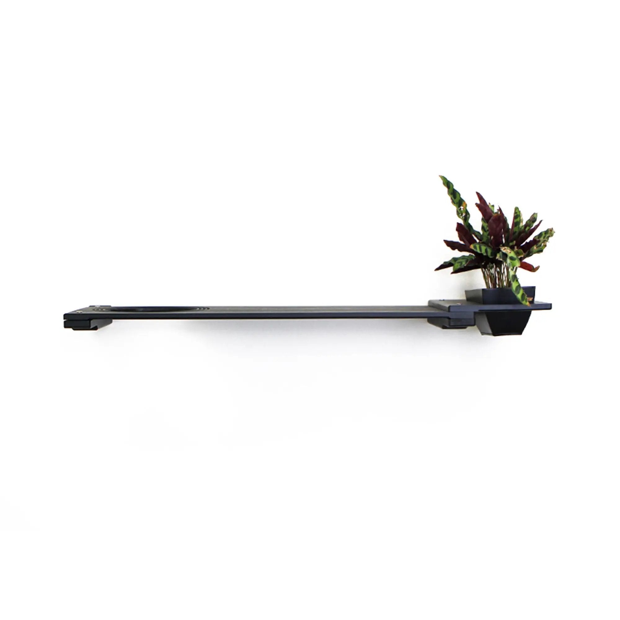 Cat Plant Stand for Wall, black wall-mounted cat shelf with planter.