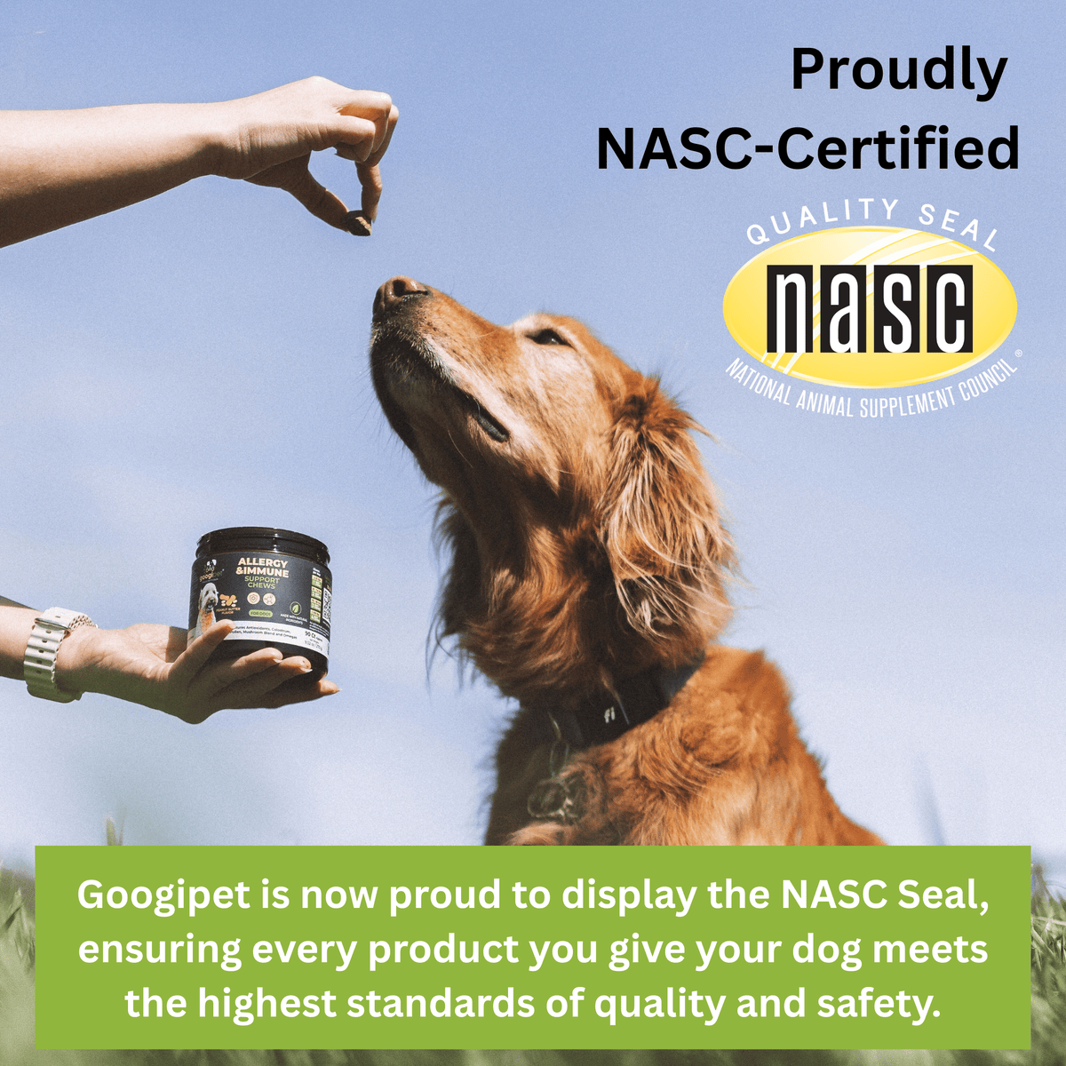 NASC Quality Seal for Googipet 10-in-1 Multivitamin Chews (Peanut Butter & Pumpkin)