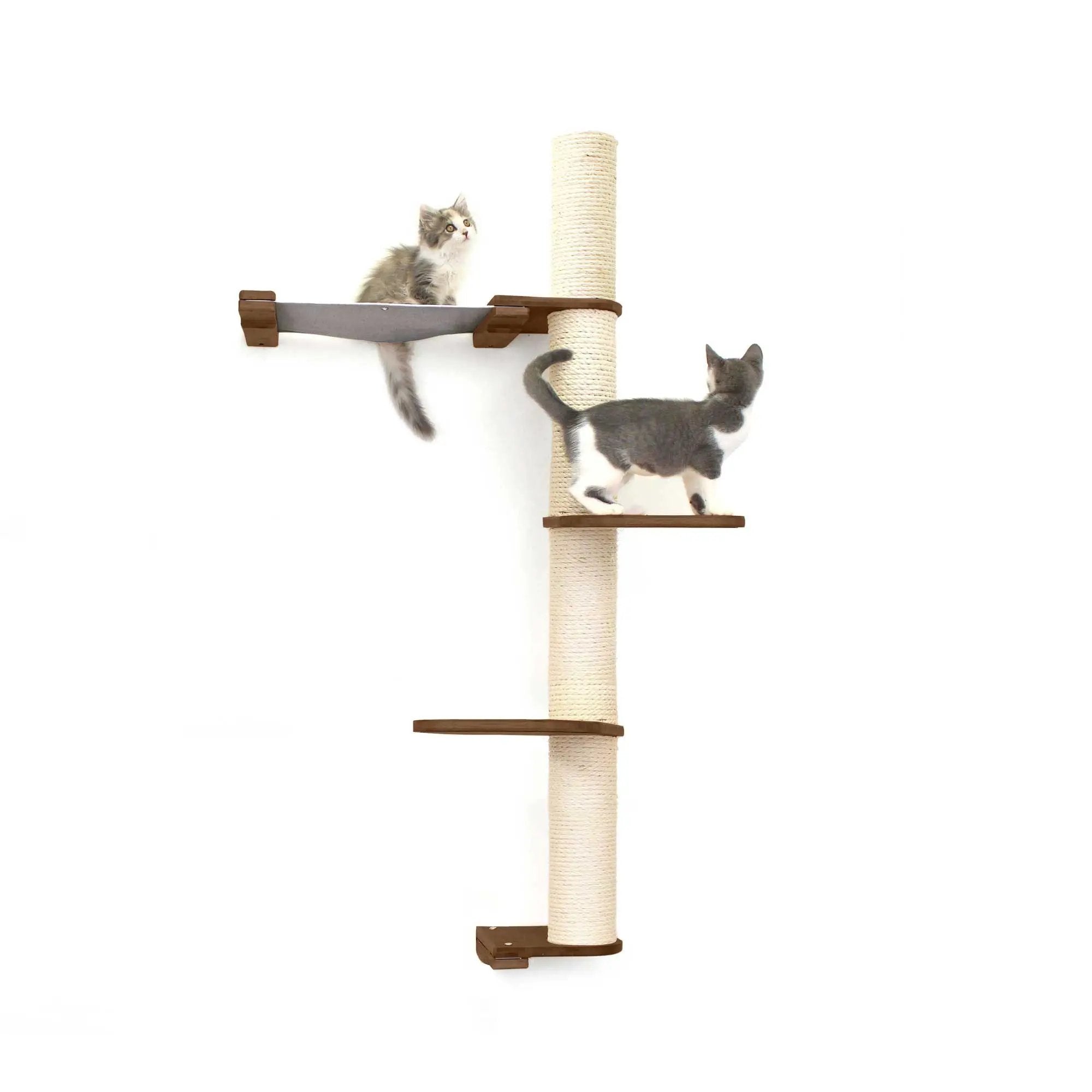 The Crow's Nest wall cat condo with hammock; beige rope-wrapped post and wooden platforms, two cats.