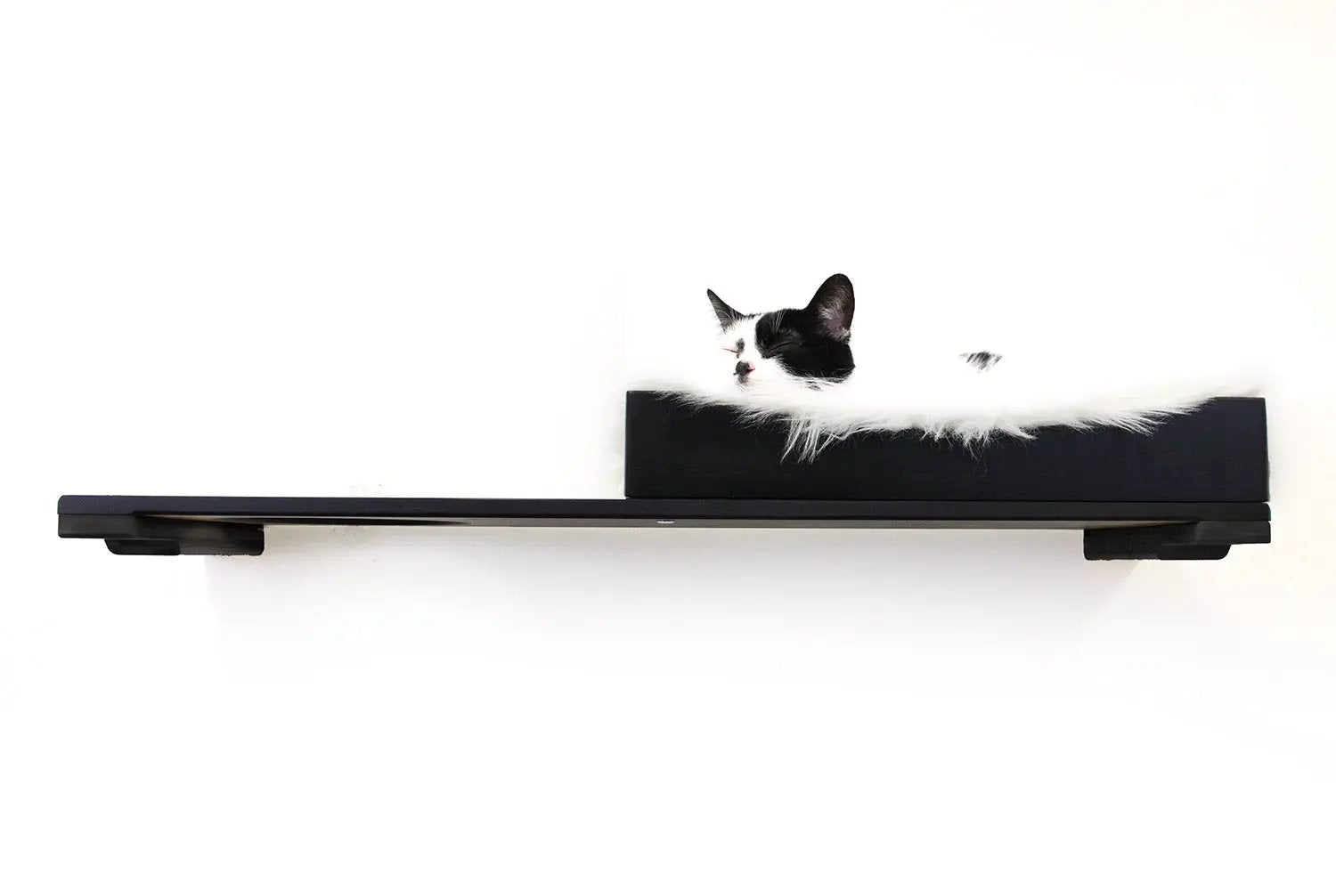Cat Nest Bed by Catastrophic Creations on a black cat shelf with white fluffy rim, cat resting