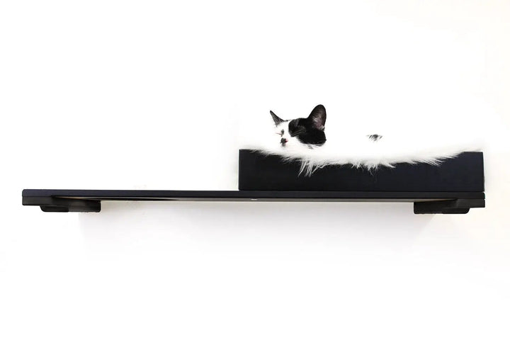 Cat Nest Bed by Catastrophic Creations on a black cat shelf with white fluffy rim, cat resting