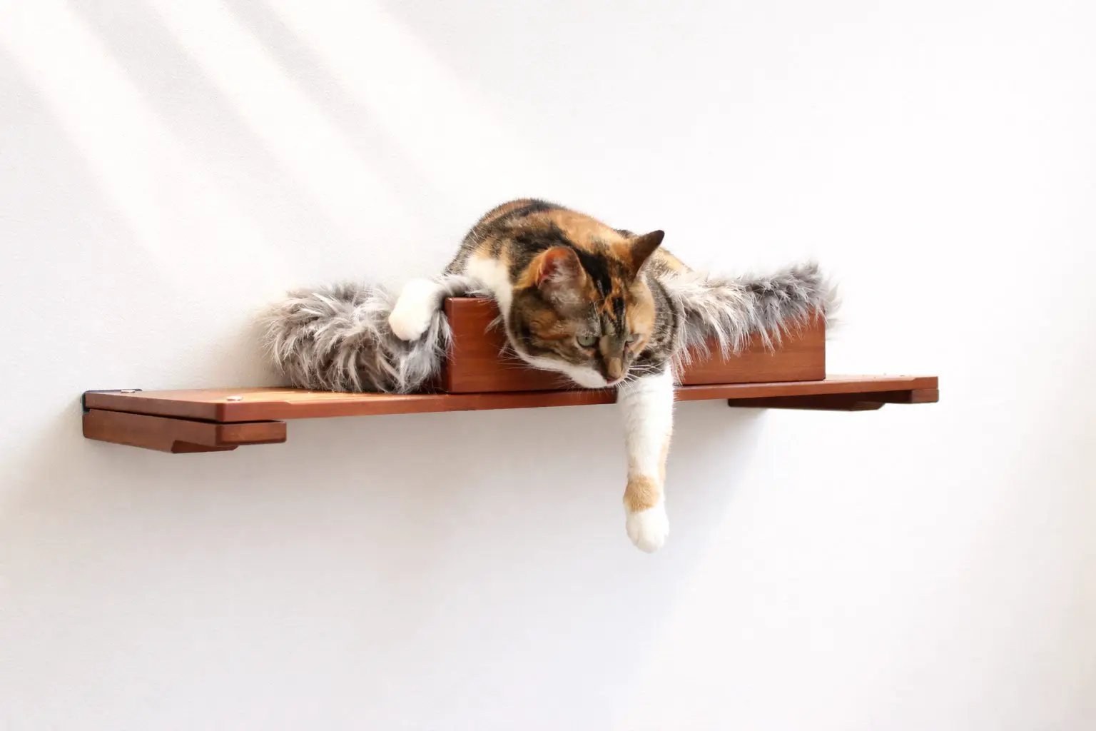 The Cat Nest Bed by Catastrophic Creations on a wooden cat shelf with faux fur cushion, cat lounging.