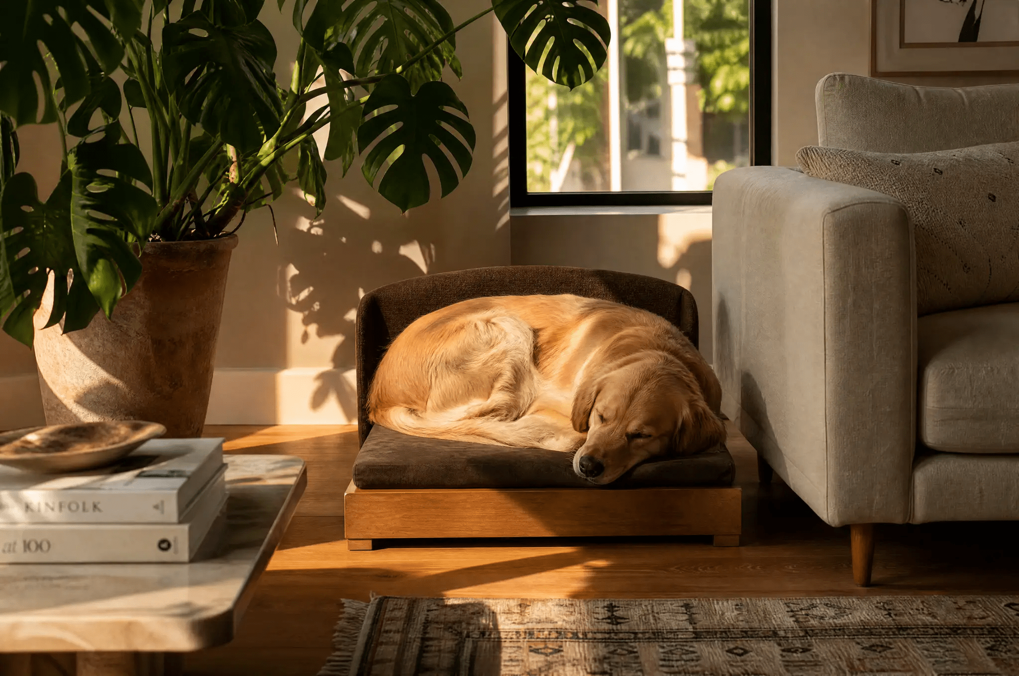 The Haven dog bed by For Animals, With Love; solid wood frame, orthopedic, waterproof lining, dog resting.