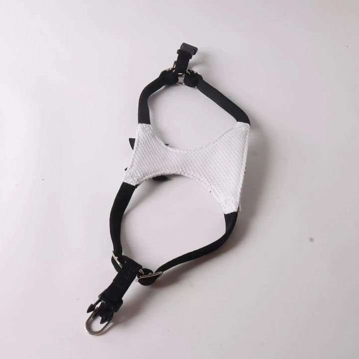 Polka Dot Bow Dog Harness And Leash Set Adjustable Elegant Puppy Vest by Jane&