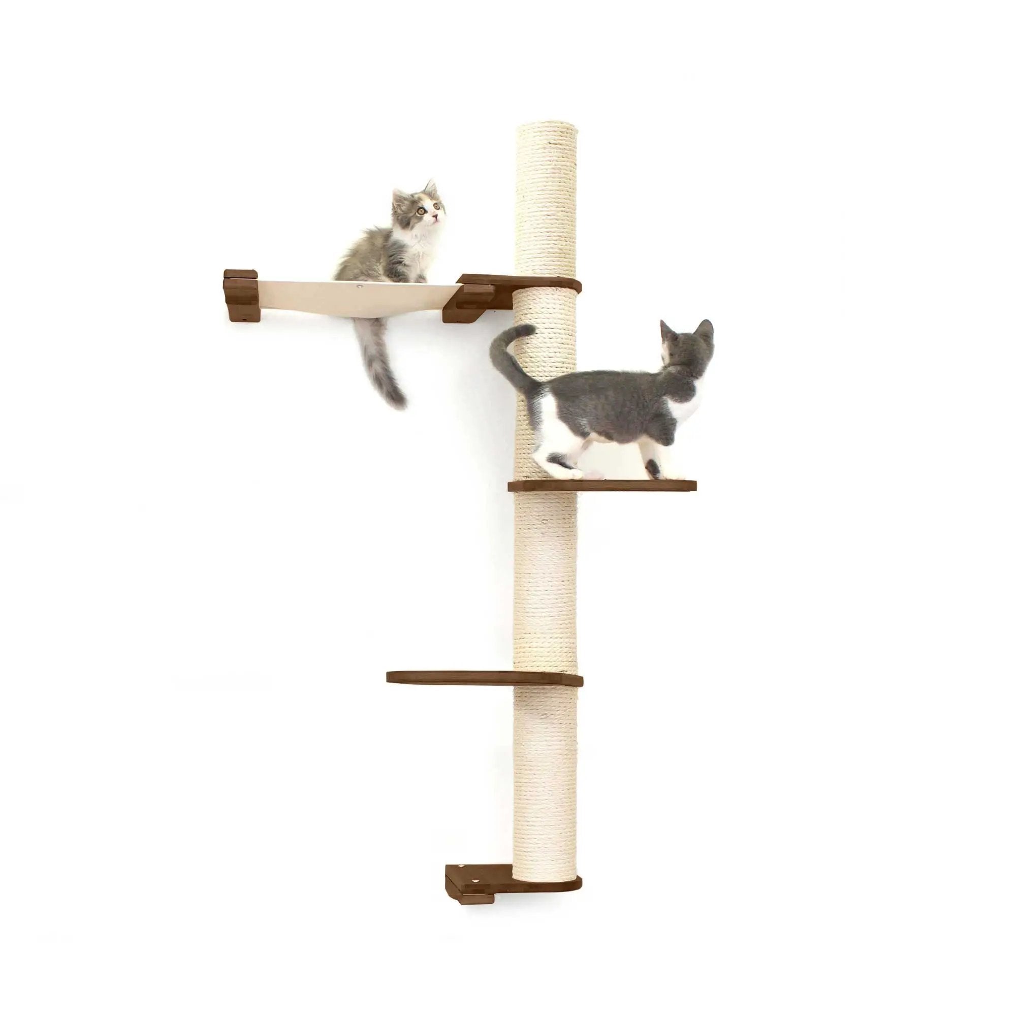 The Crow's Nest wall cat condo with hammock by Catastrophic Creations, sisal rope post with wooden platforms and two kittens.