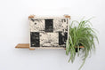 Carica l'immagine nel visualizzatore della galleria, Deluxe Cat Cubby Bed by Catastrophic Creations; wall cubby with black-and-white textured front, light wood shelves
