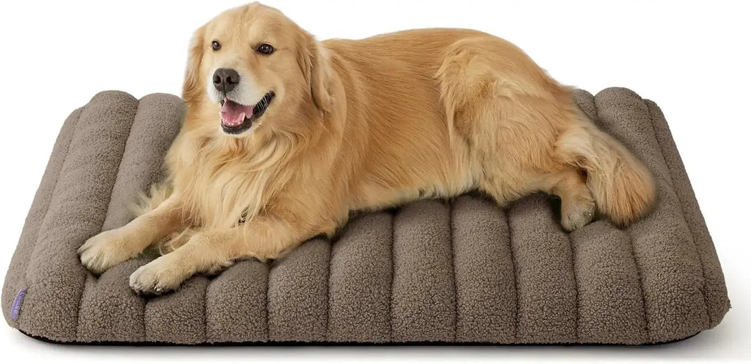 Orthopedic Dog Bed for Large Dogs | Waterproof Plush Mat w/ Washable Cover by Wags &amp; Whiskers Pet Supply