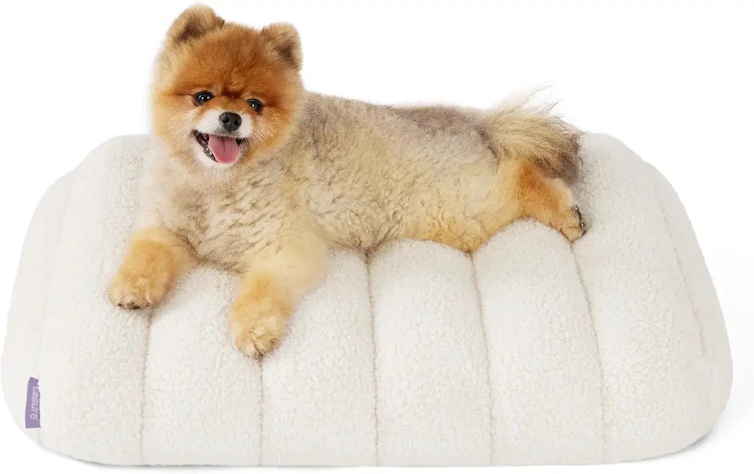 Orthopedic Dog Bed for Large Dogs | Waterproof Plush Mat w/ Washable Cover by Wags & Whiskers Pet Supply