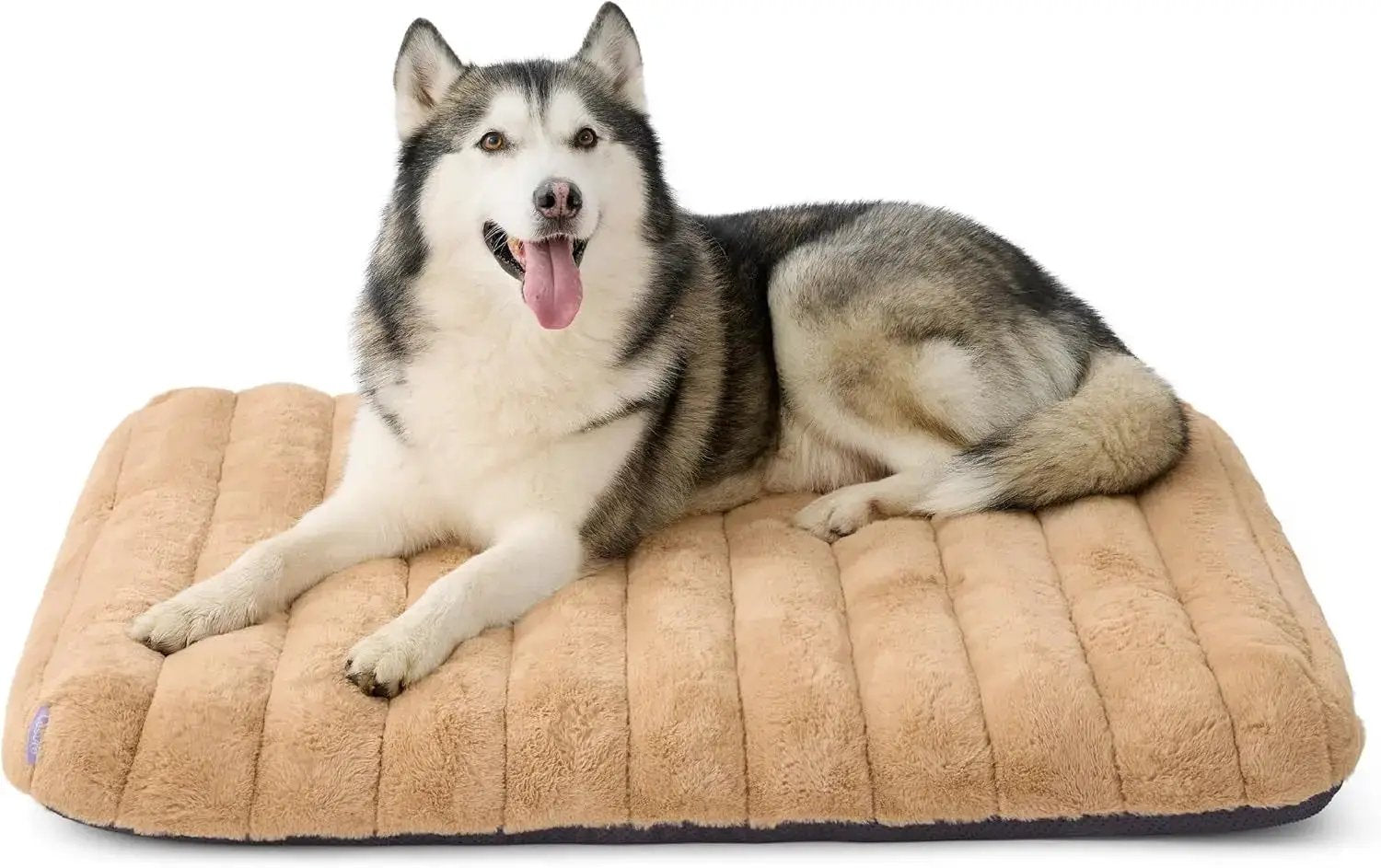 Orthopedic Dog Bed for Large Dogs | Waterproof Plush Mat w/ Washable Cover by Wags & Whiskers Pet Supply