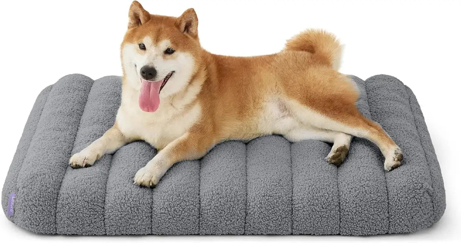 Orthopedic Dog Bed for Large Dogs | Waterproof Plush Mat w/ Washable Cover by Wags & Whiskers Pet Supply