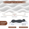 Carica l'immagine nel visualizzatore della galleria, Orthopedic Dog Bed with Memory Foam Support for Large Dogs by DirectDeals
