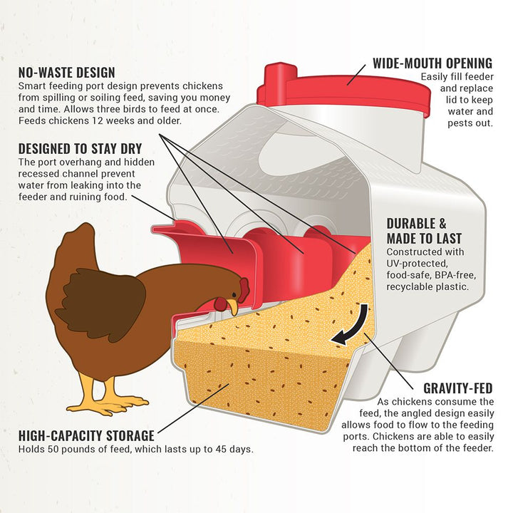 OverEZ Classic Chicken Feeder