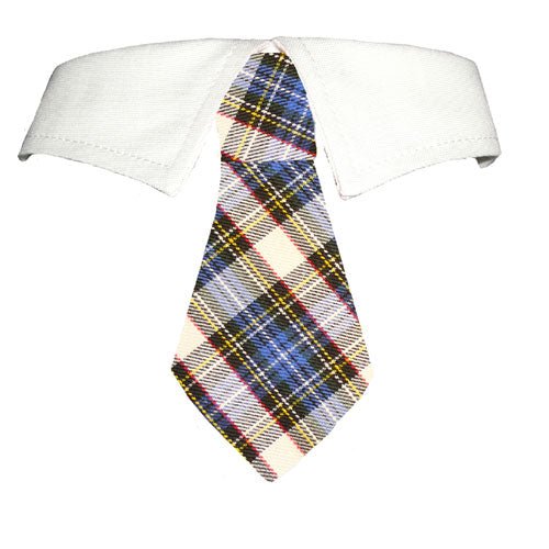 Blake Dress-Up Dog Shirt Collar with Tie