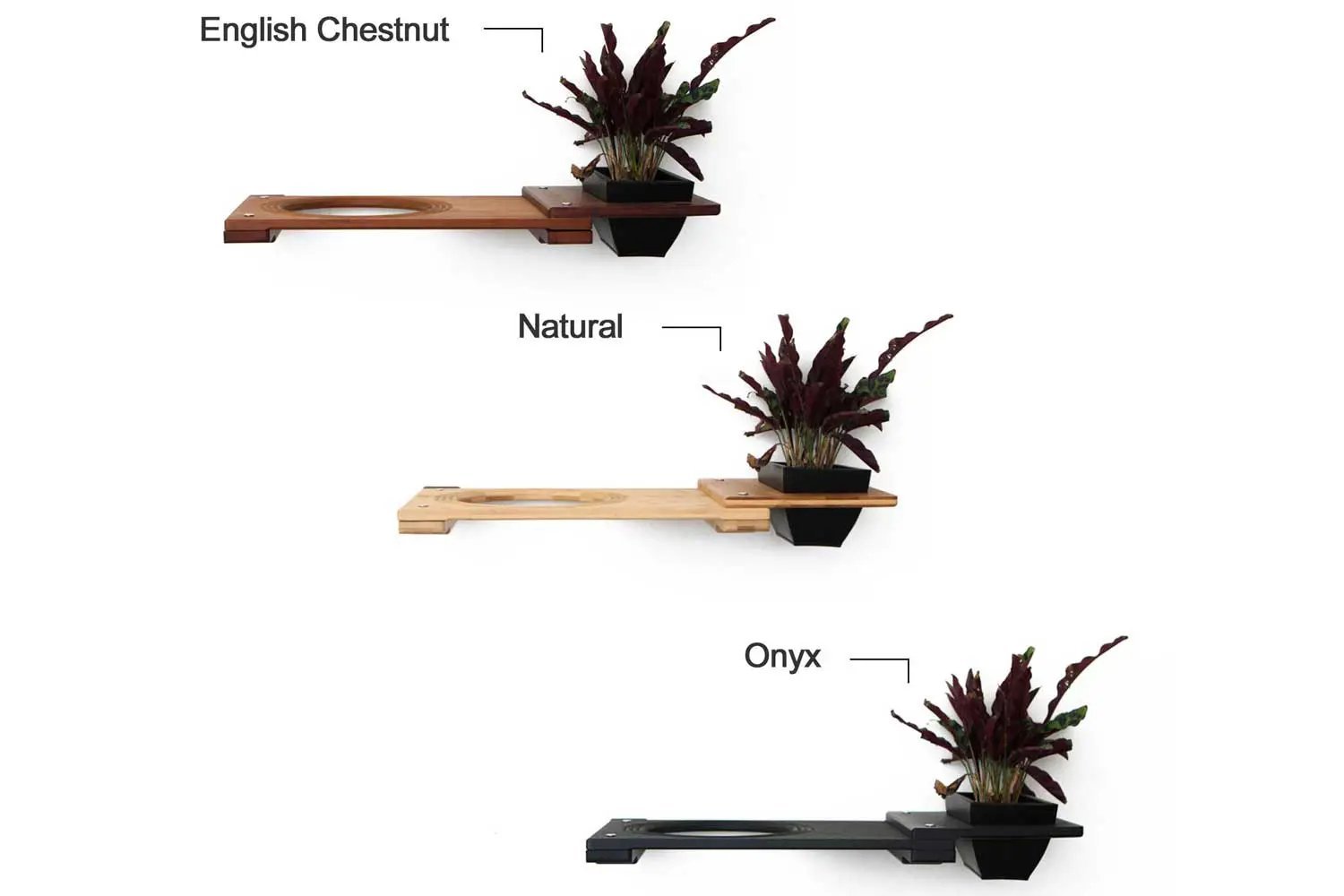 Cat Plant Stand for Wall by Catastrophic Creations; wooden wall shelf with planter in English Chestnut, Natural or Onyx finish